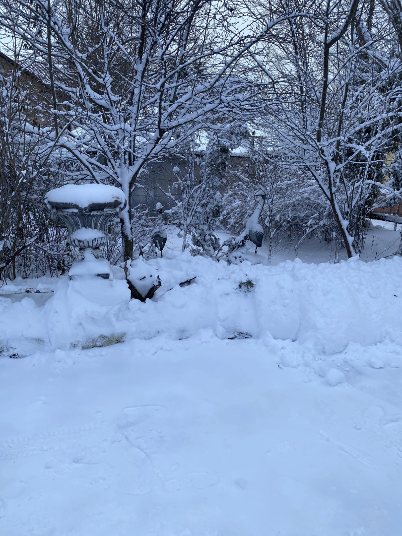 Михайловские Бани