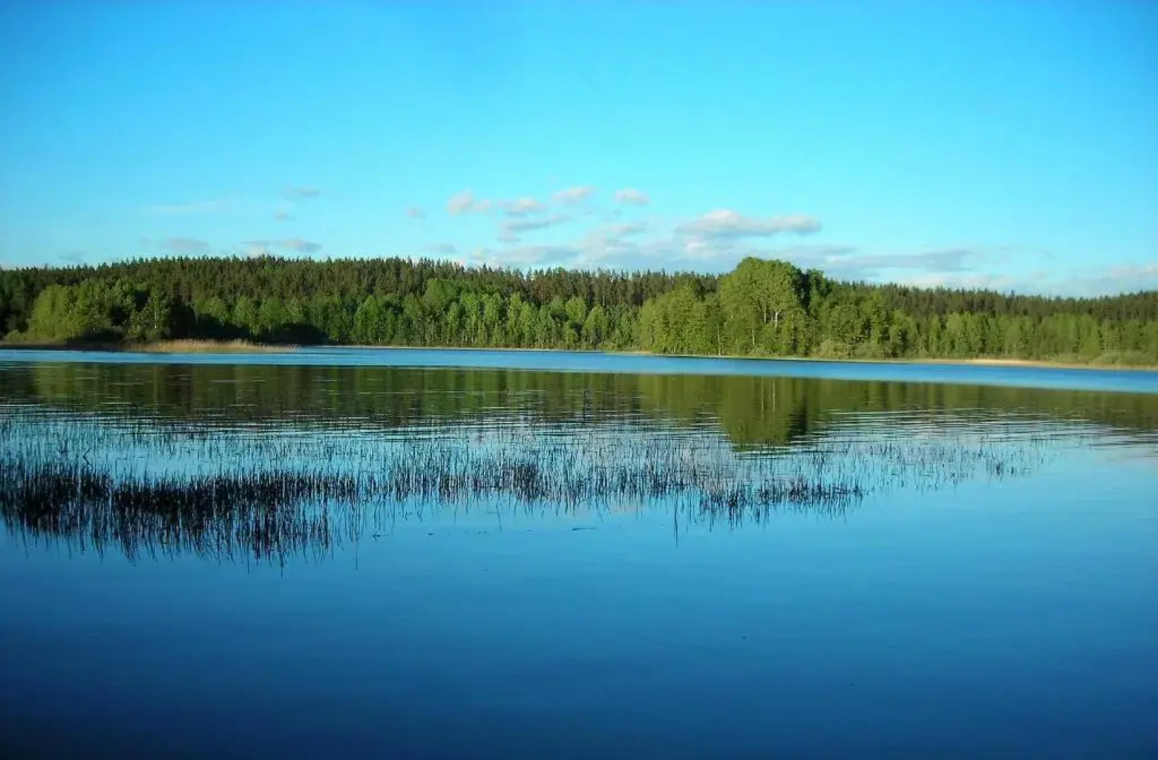 Гостевой дом Усадьба Сайрала