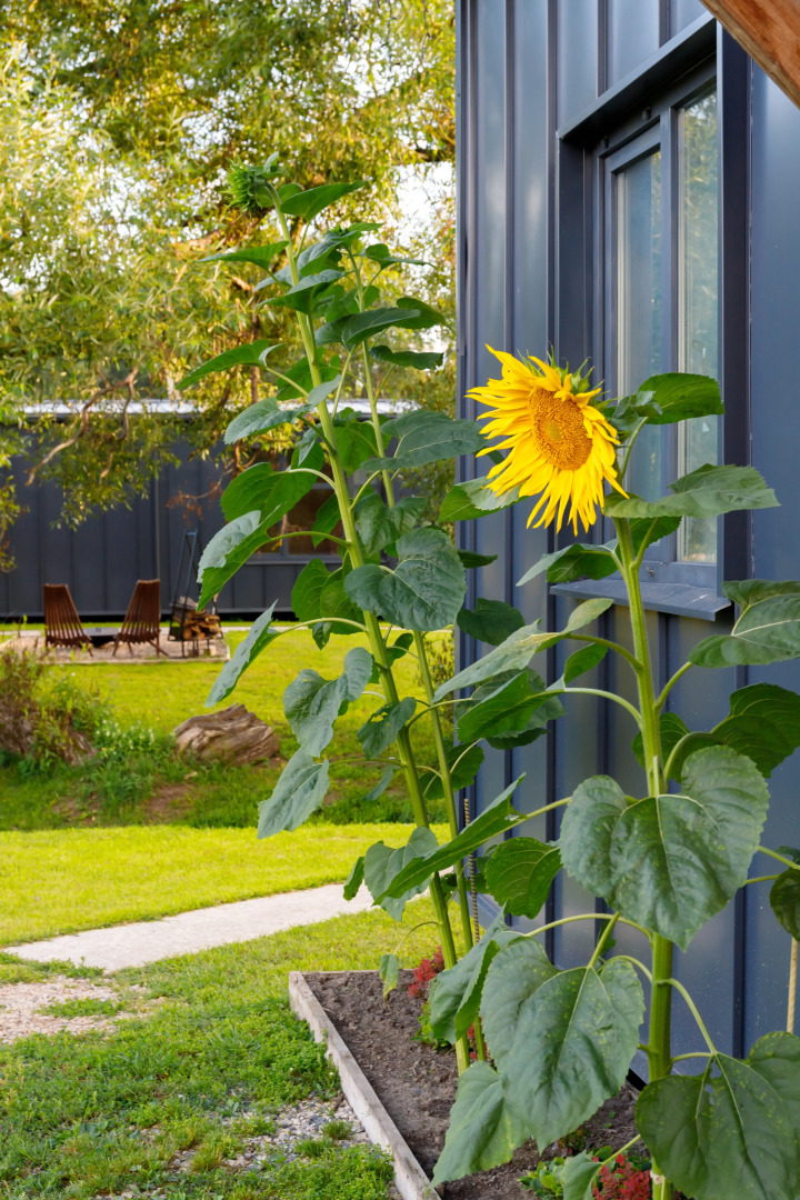 Частный дом Романовское подворье №2