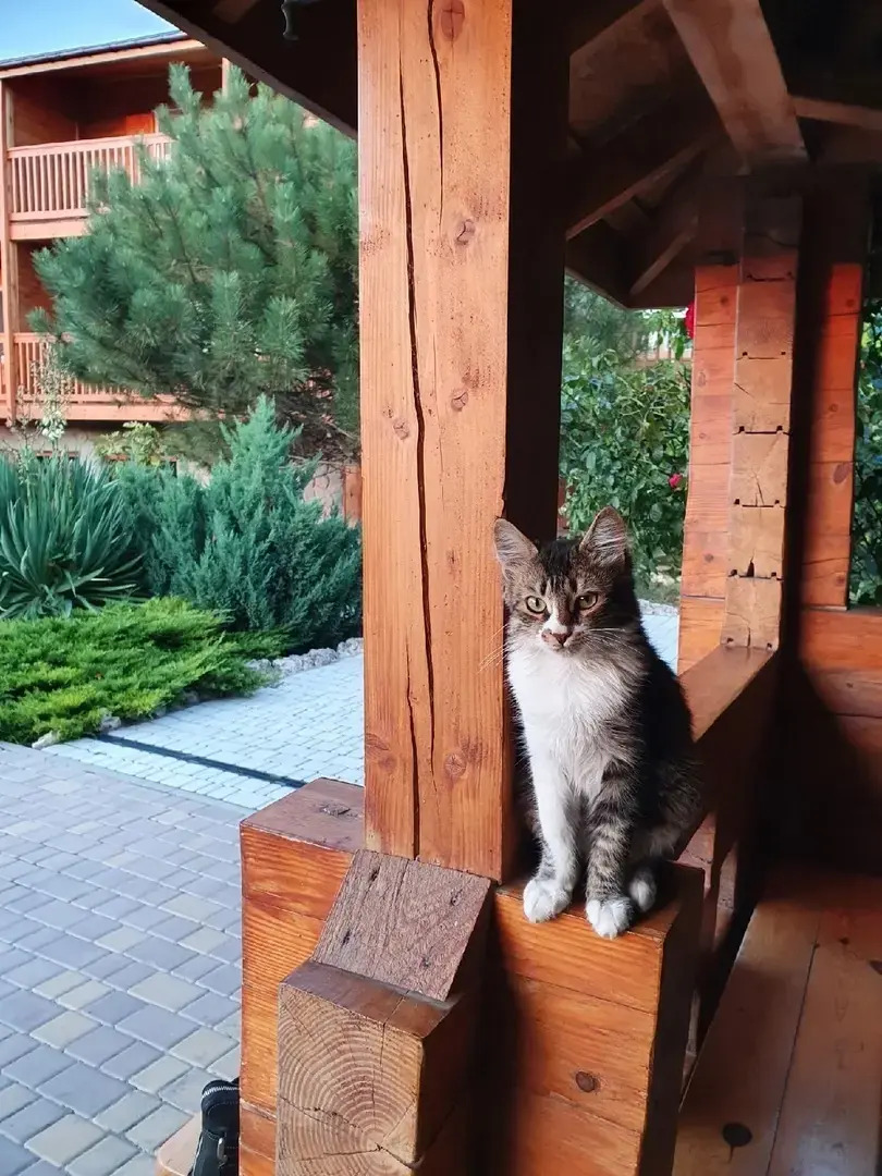 Гостевой Дом Капля Янтаря