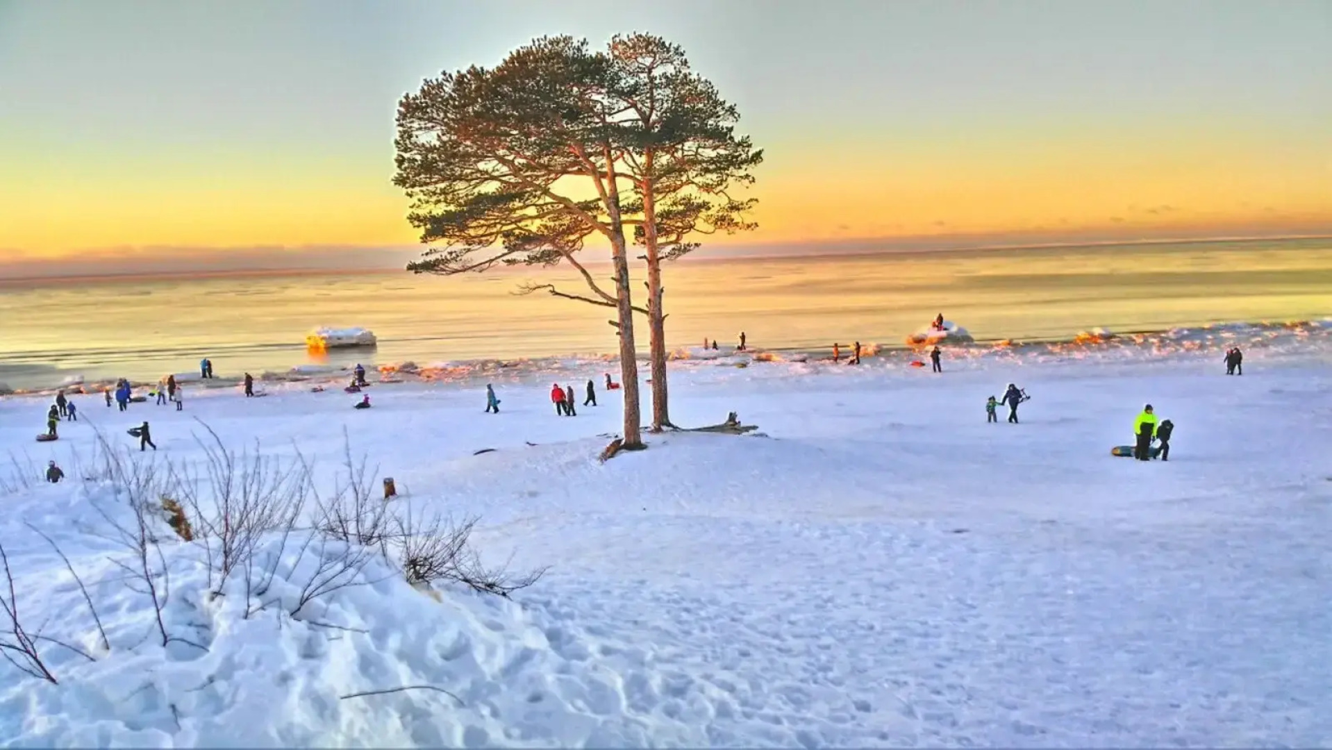 Апартаменты SeveRent в ЖК Нахимов 79