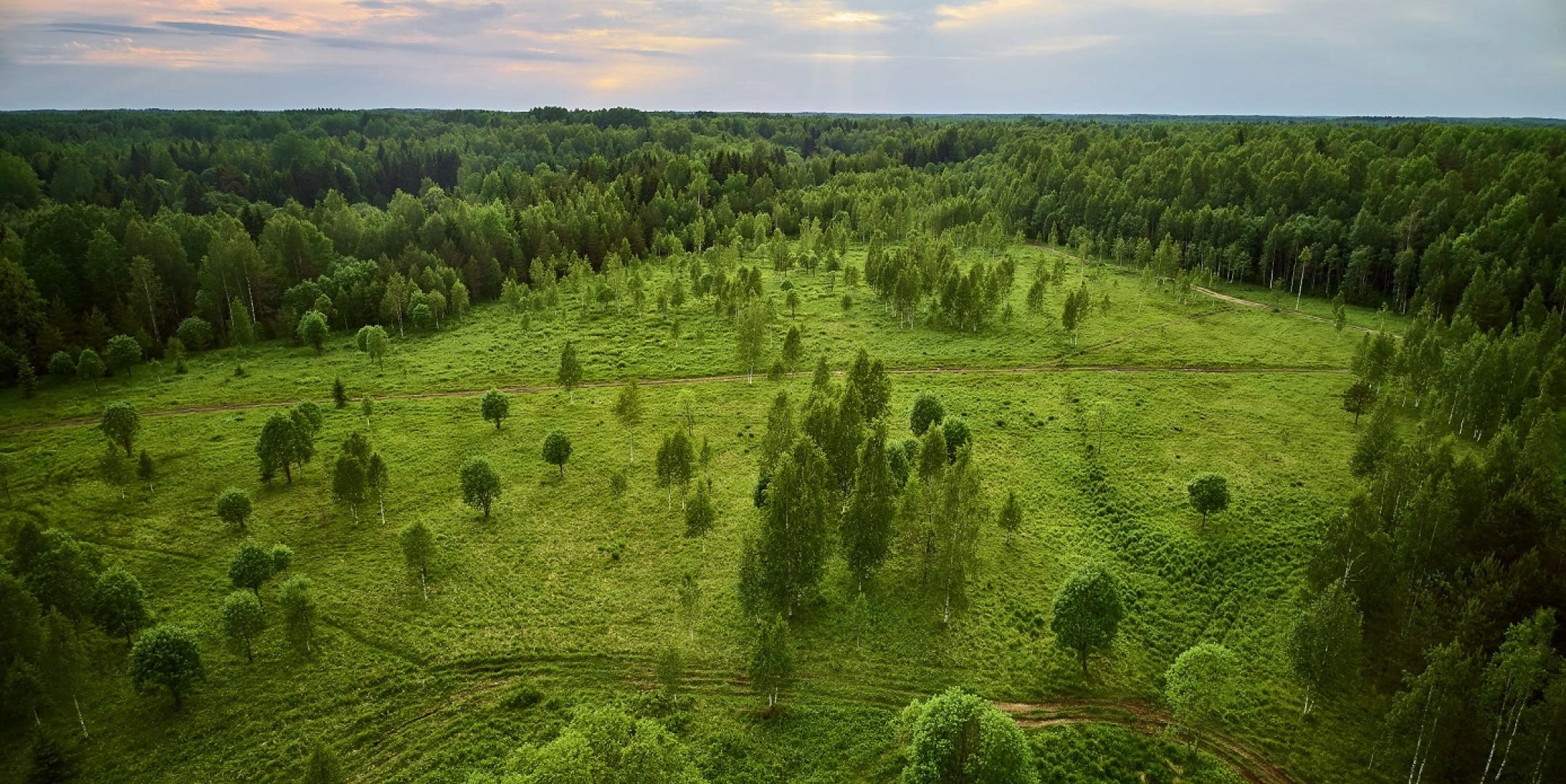 Бунгало Мазаная Горка
