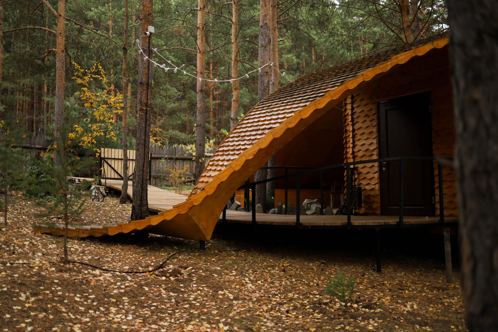 Отель Сорока