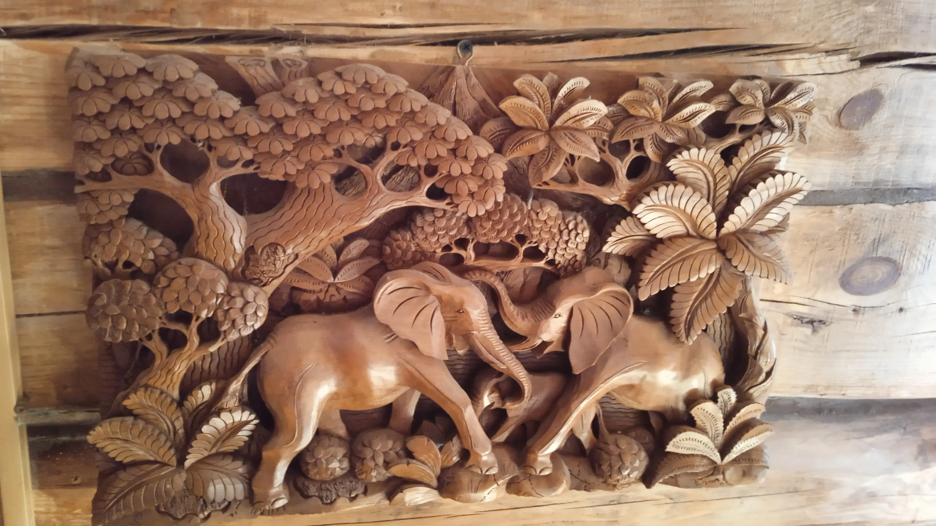 Жилое помещение Dao View Ясные просторы