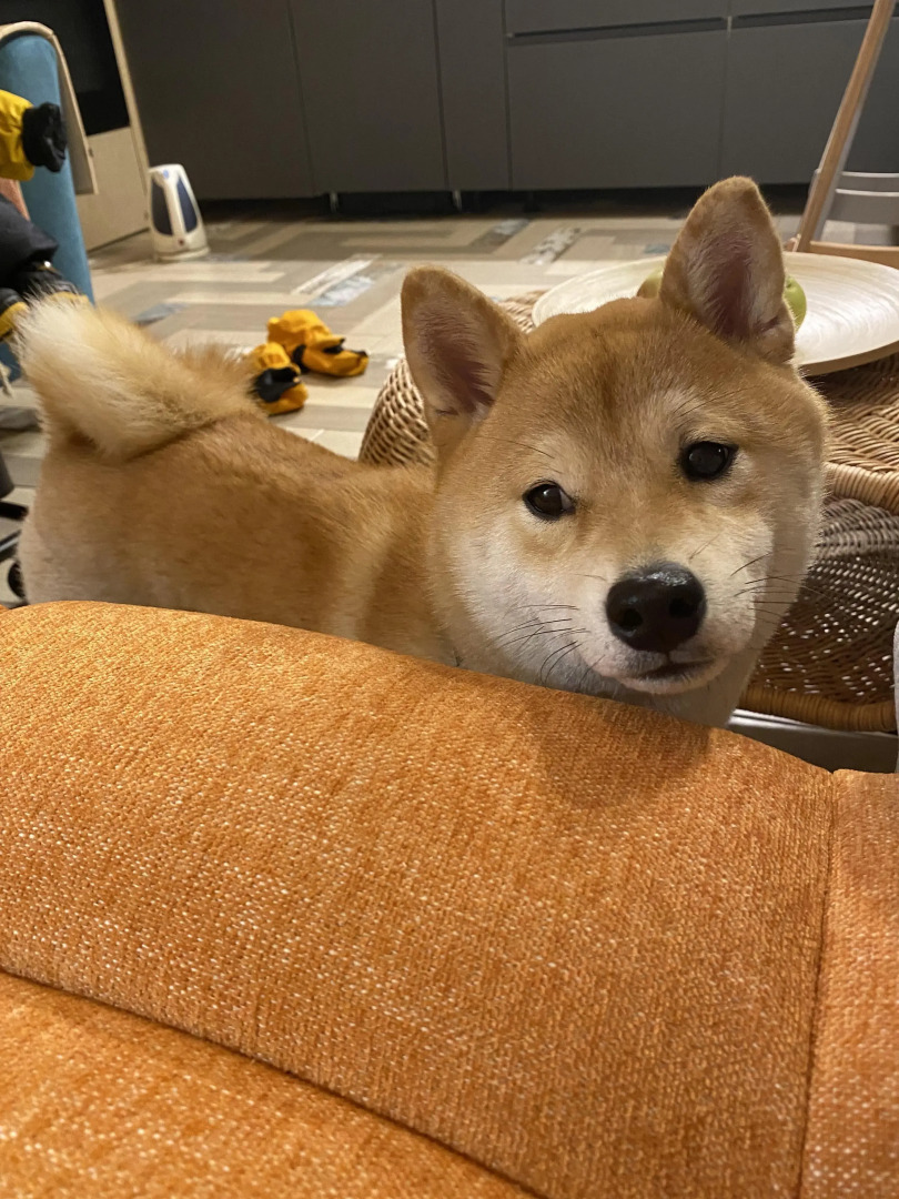 Гостевой дом Брусничный Барн