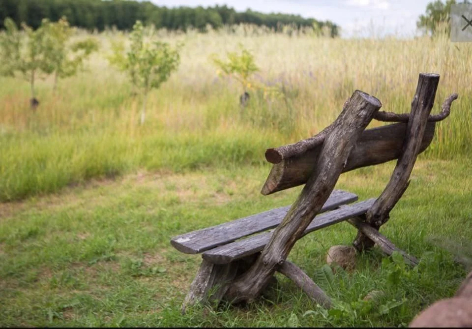 Гостевой дом Агроусадьба Беловежская Светлица