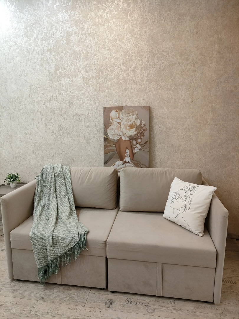 Квартира уютный центр