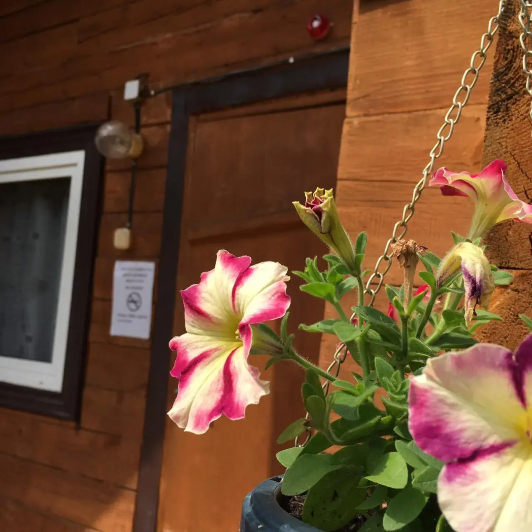 База отдыха Ольхон