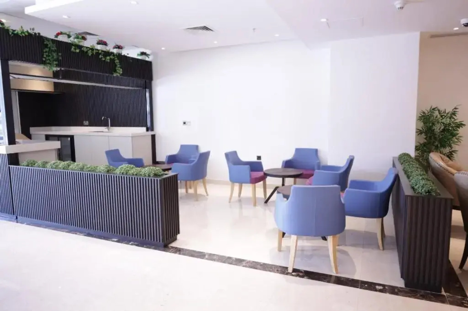 Hotel dolphin continental Hotel Kuwait