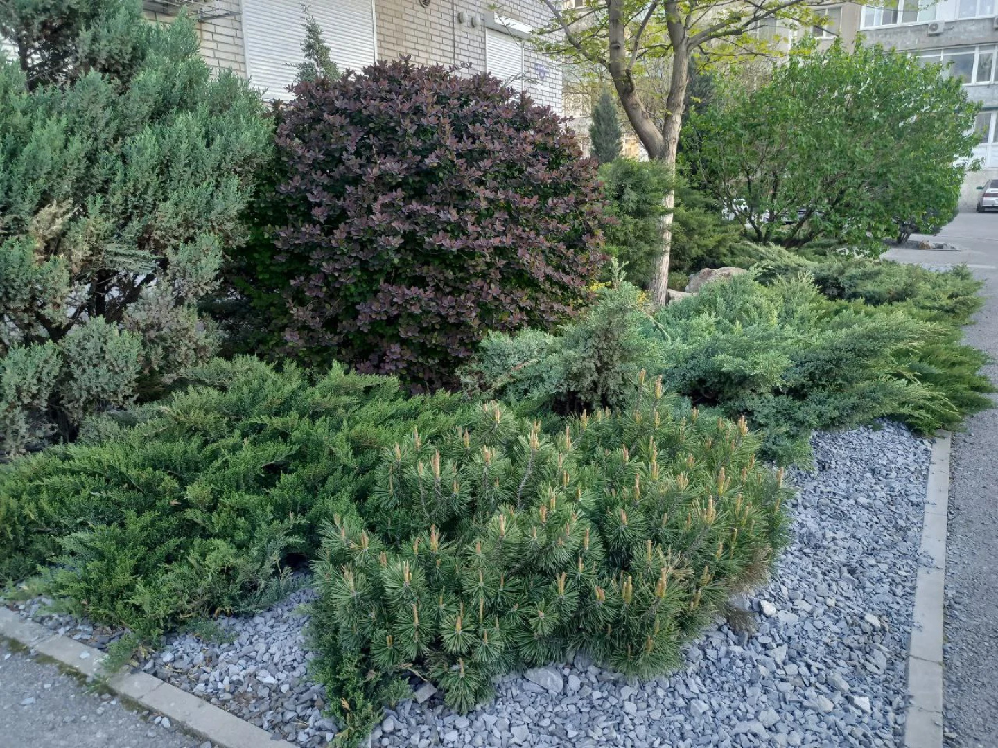 Квартира Студия от Vgosti61 Черное на Белом