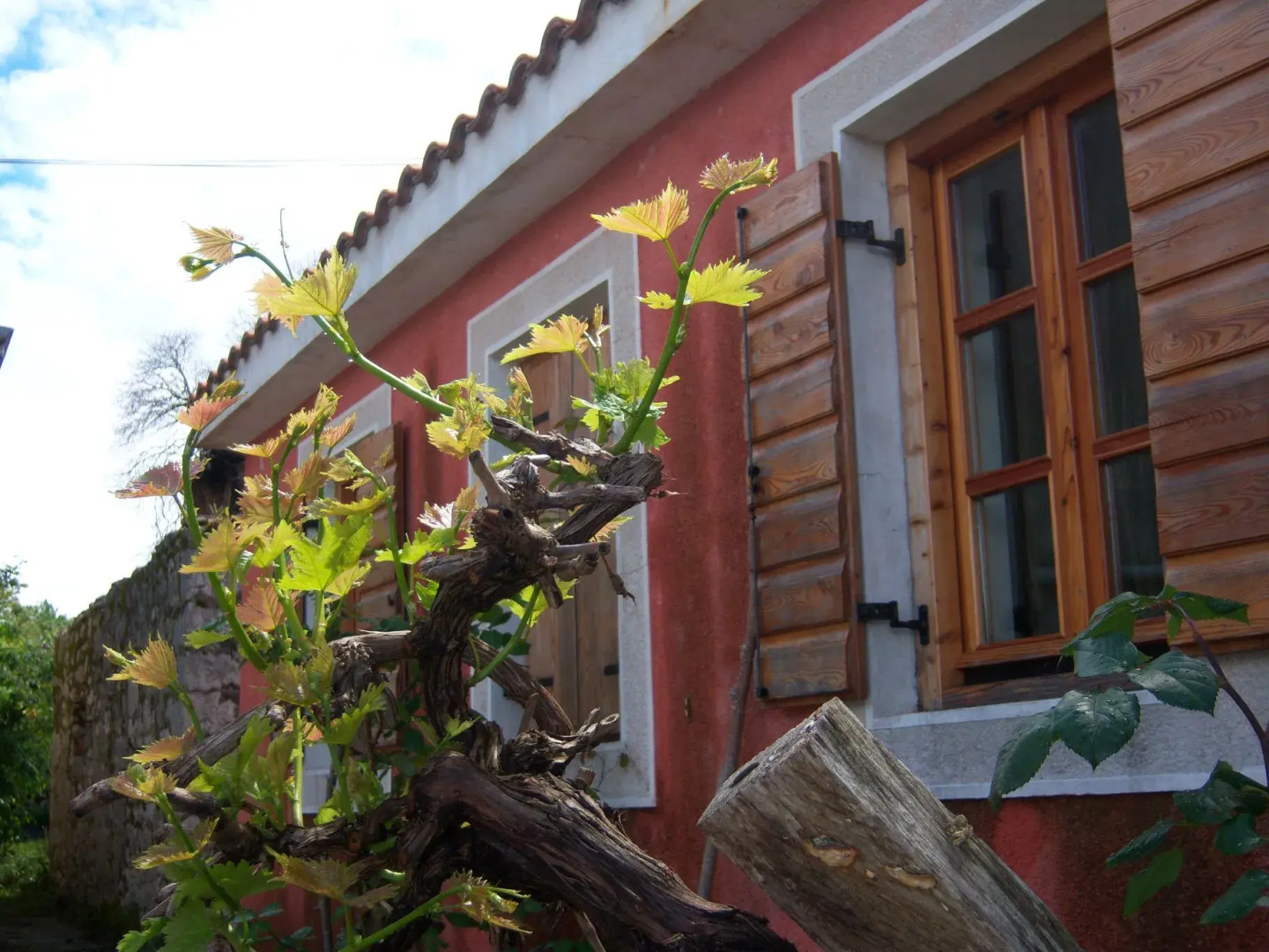 Вилла Stara Frajla