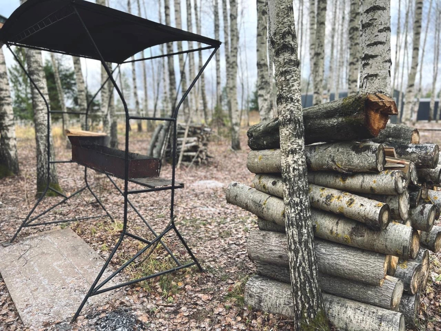 База отдыха Крутояр