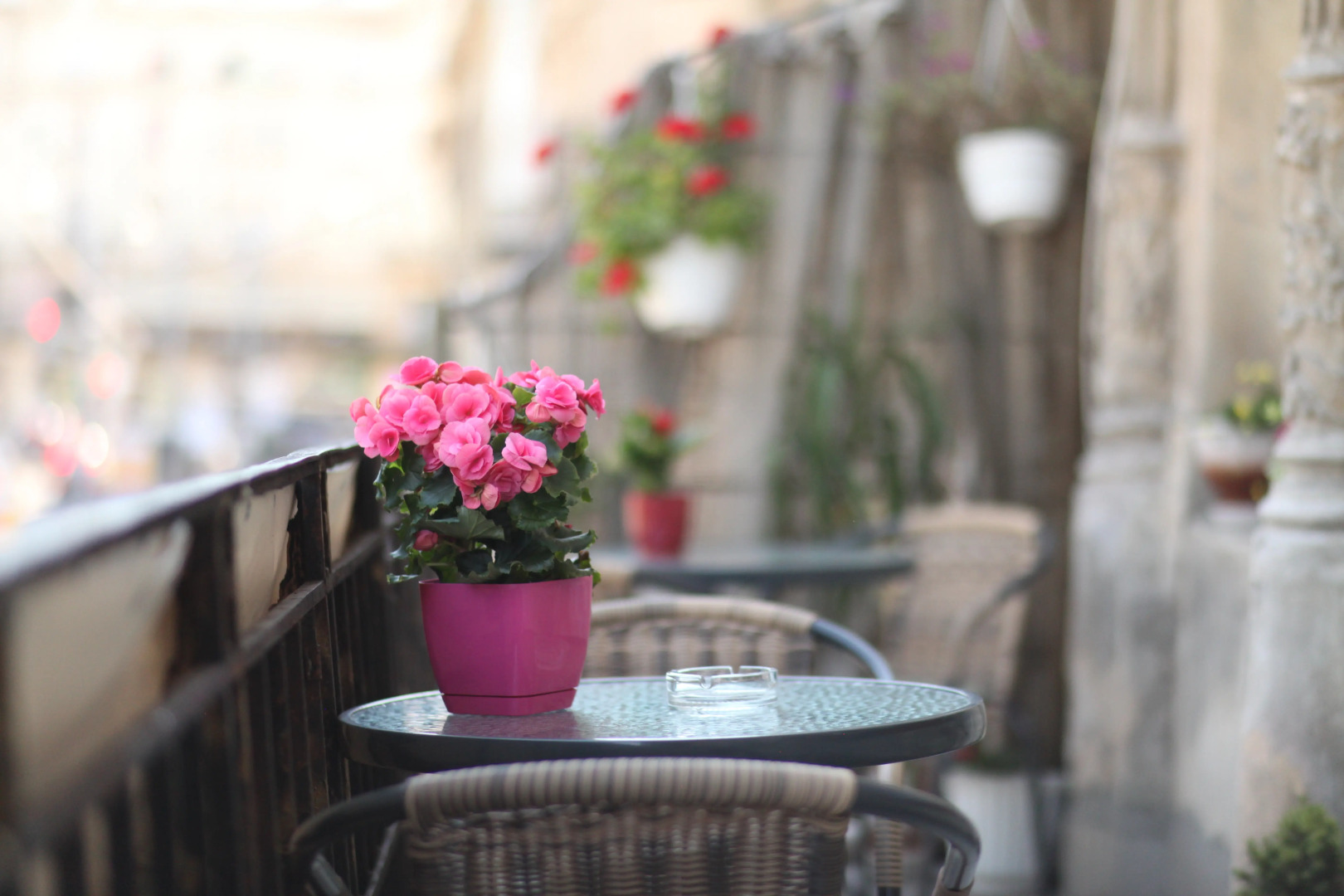 Хостел Panorami Center