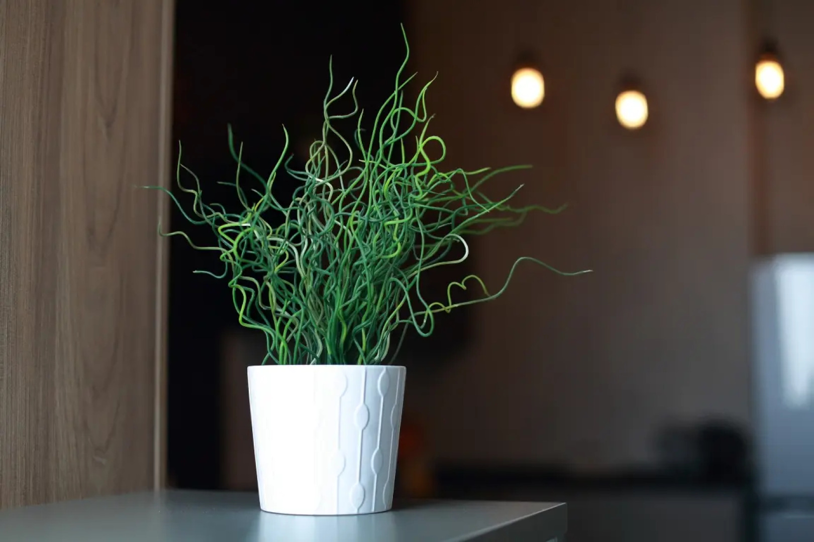 АПАРТАМЕНТЫ REHOME24 Студия 2 на 24 этаже