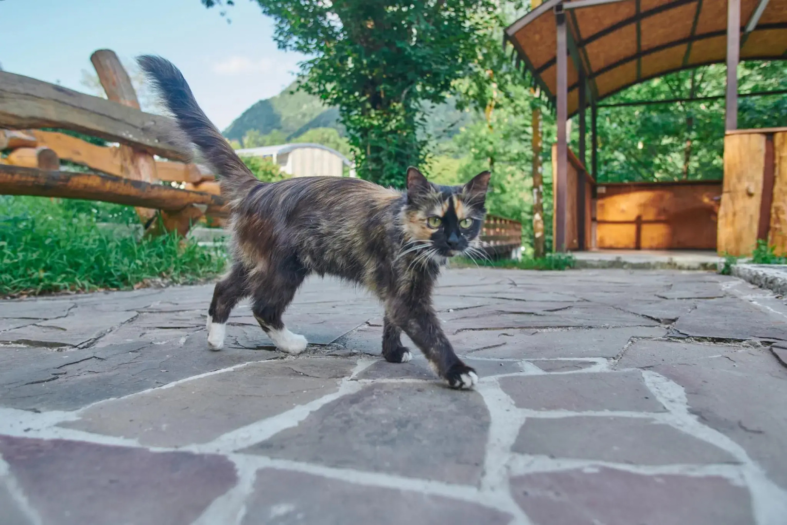 Гостевой дом Грааль Ахцу