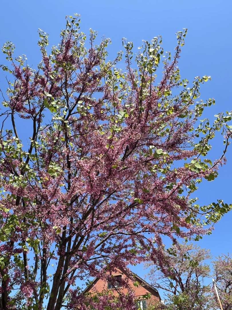 Геленджик Отель