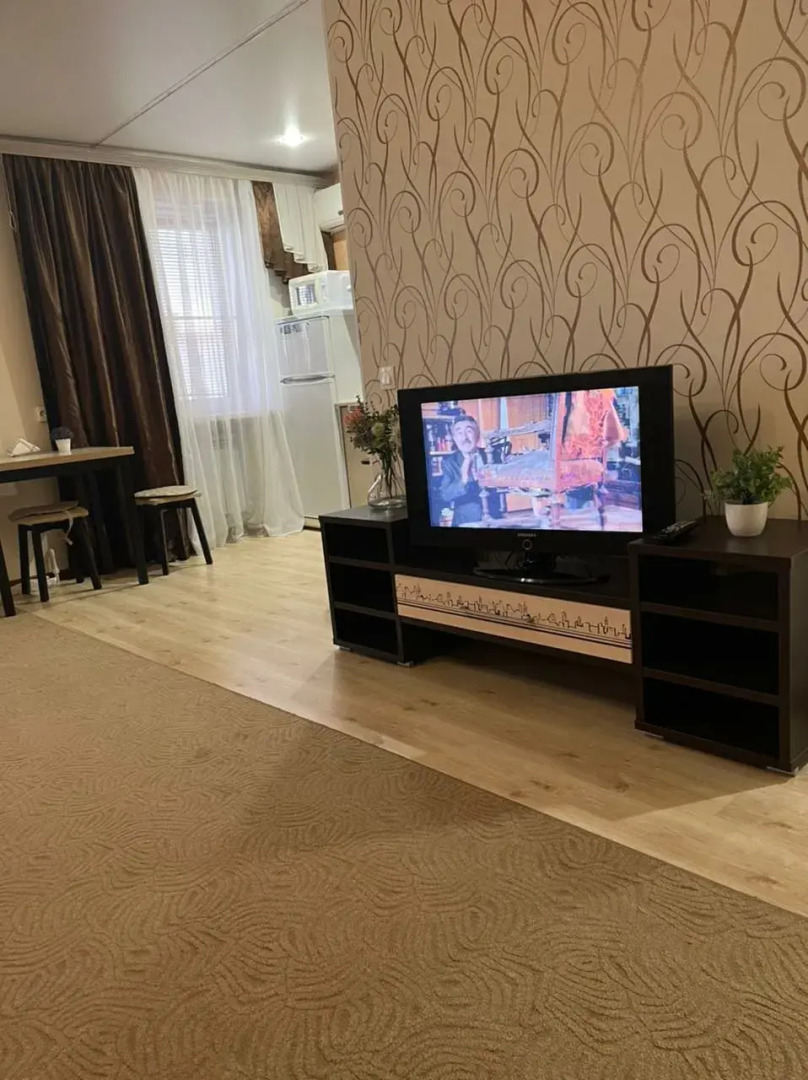 Апартаменты 1-комнатные в Центре Города на Ленина