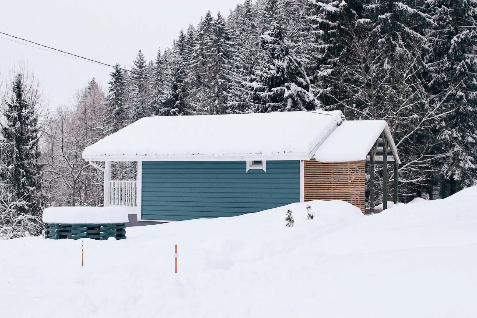 Частный дом Forest hut
