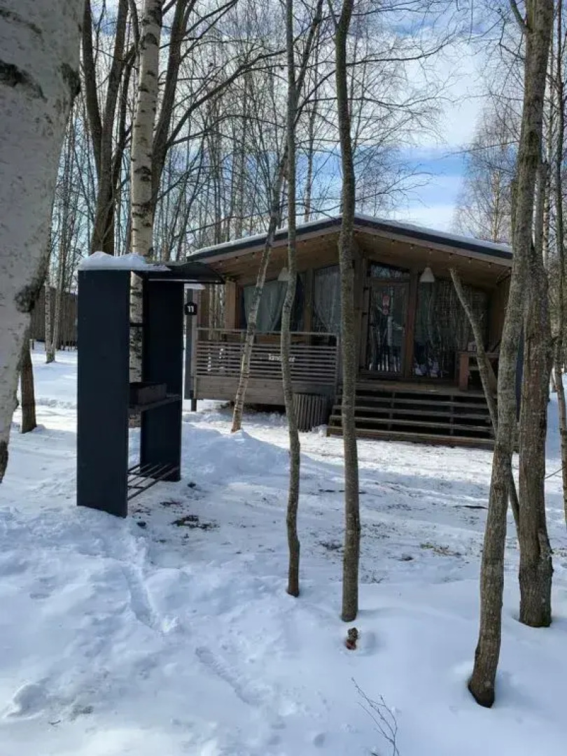 Частный дом с панорамными окнами в березовом лесу, терраса, баня, мангал