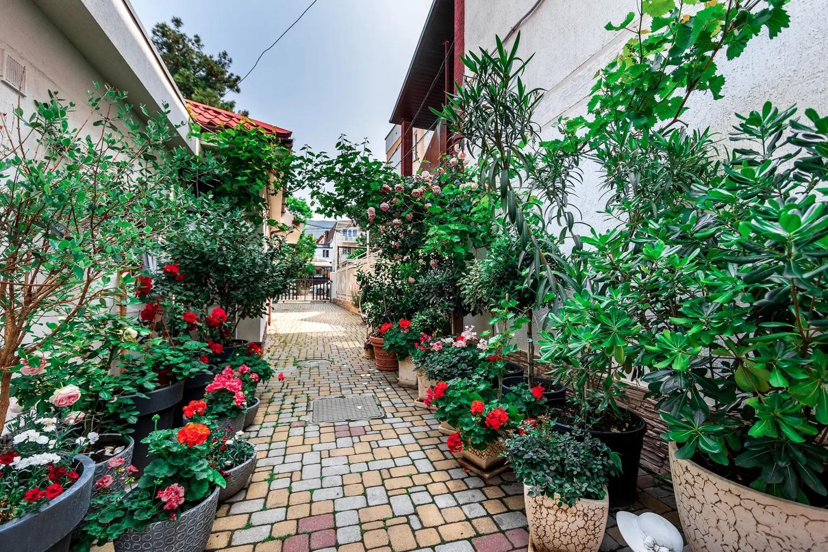 Гостевой дом Евгения