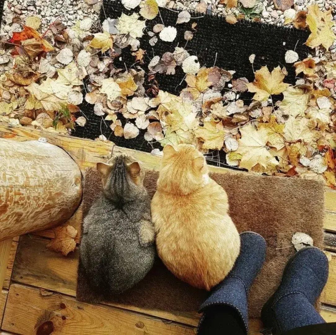 Апартаменты У лукоморья 1