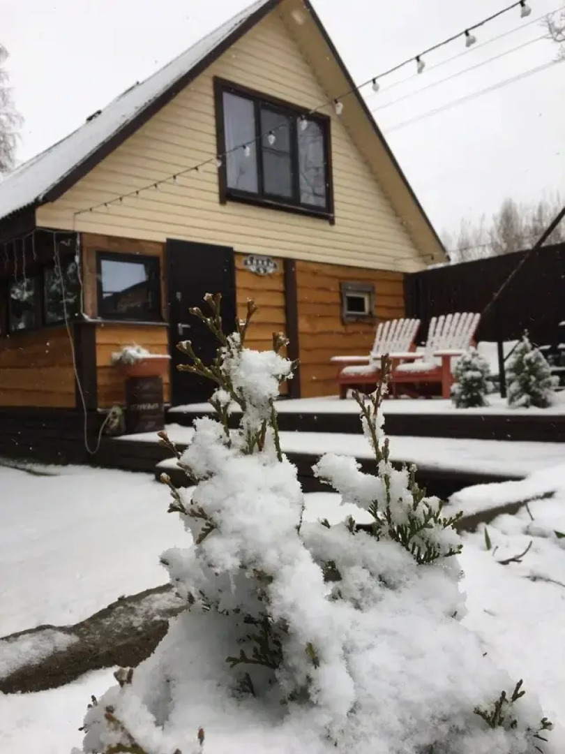 Гостевой дом Елки-палки