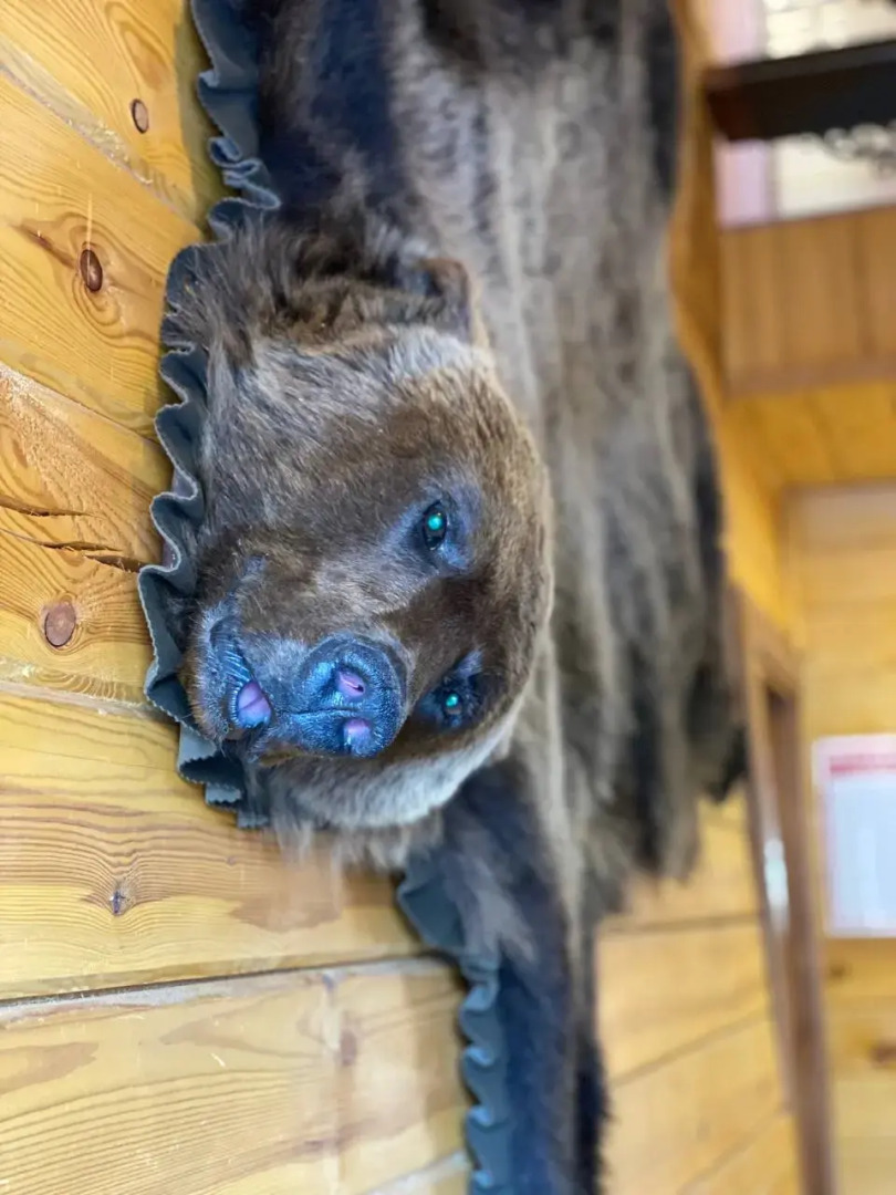 Гостевой Дом БОР'ок