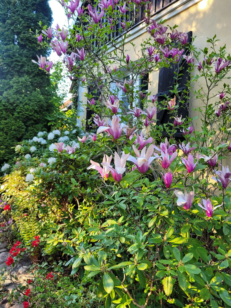 Вилла Reglówka