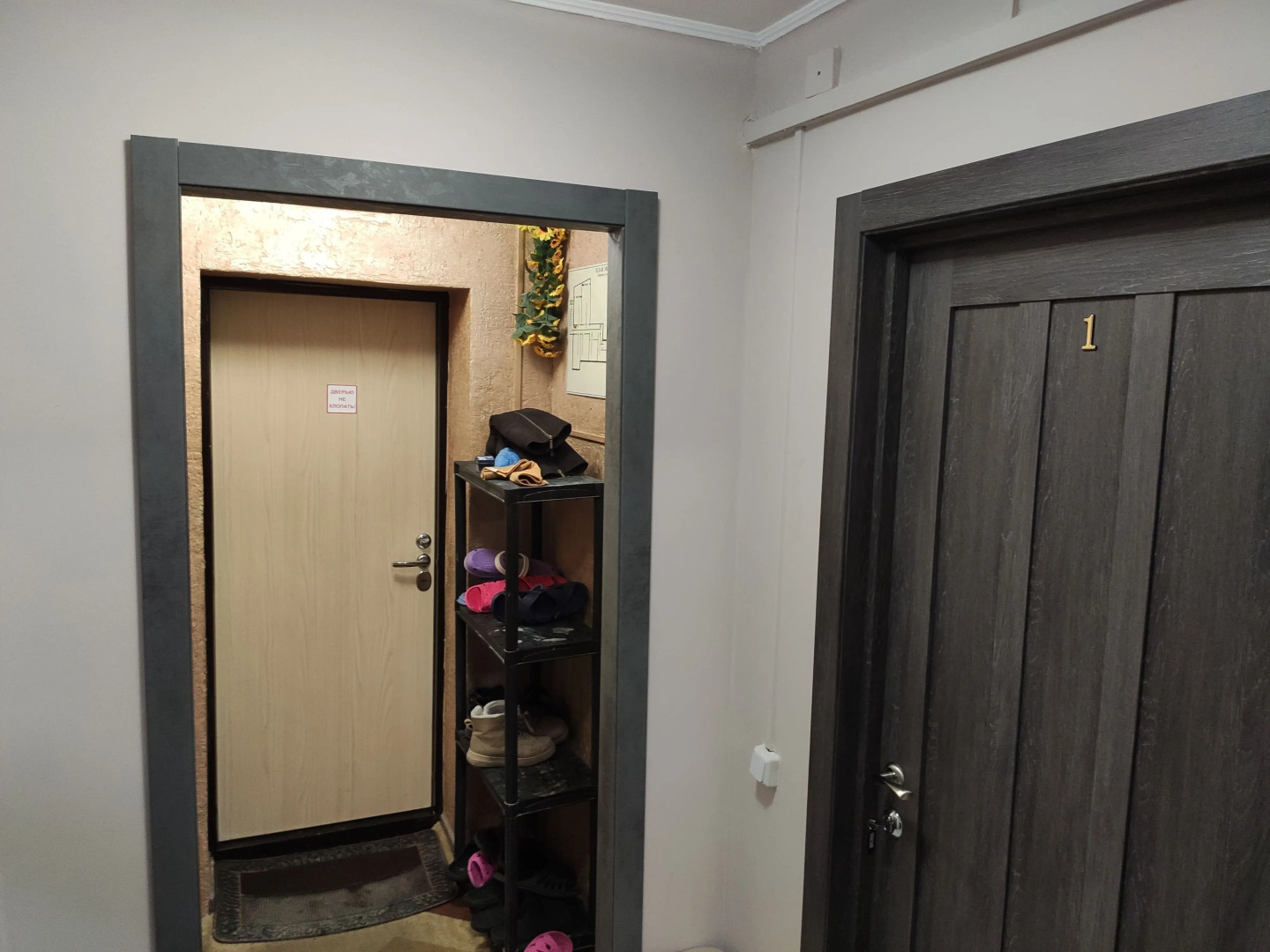 Хостел Подсолнух