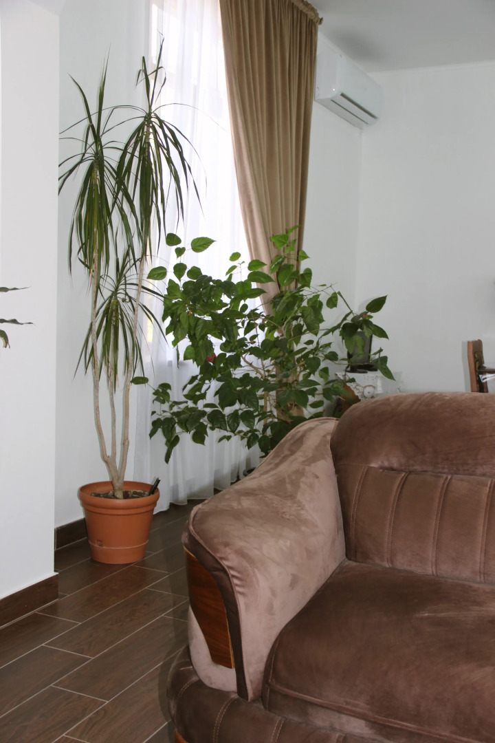 Гостевой дом Феникс