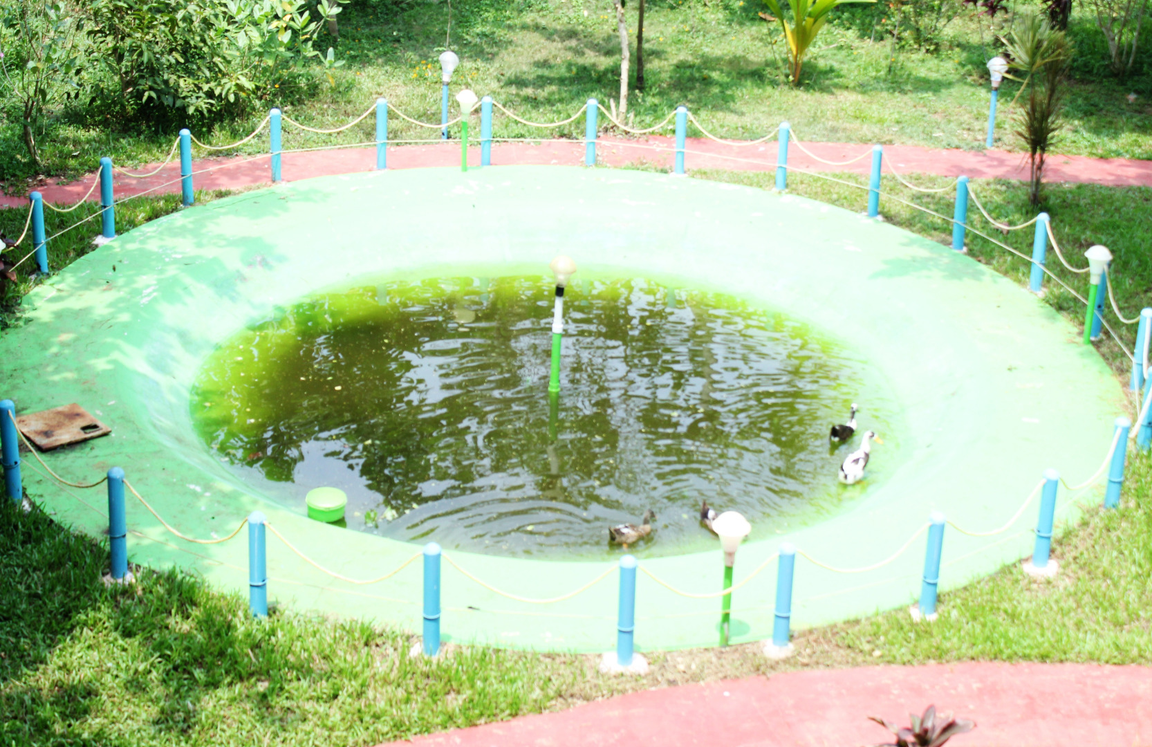 Отель True Blue Beach Resort