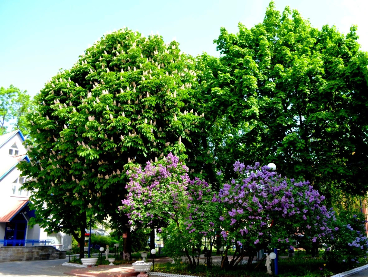 Отель Матисов Домик у Новой Голландии