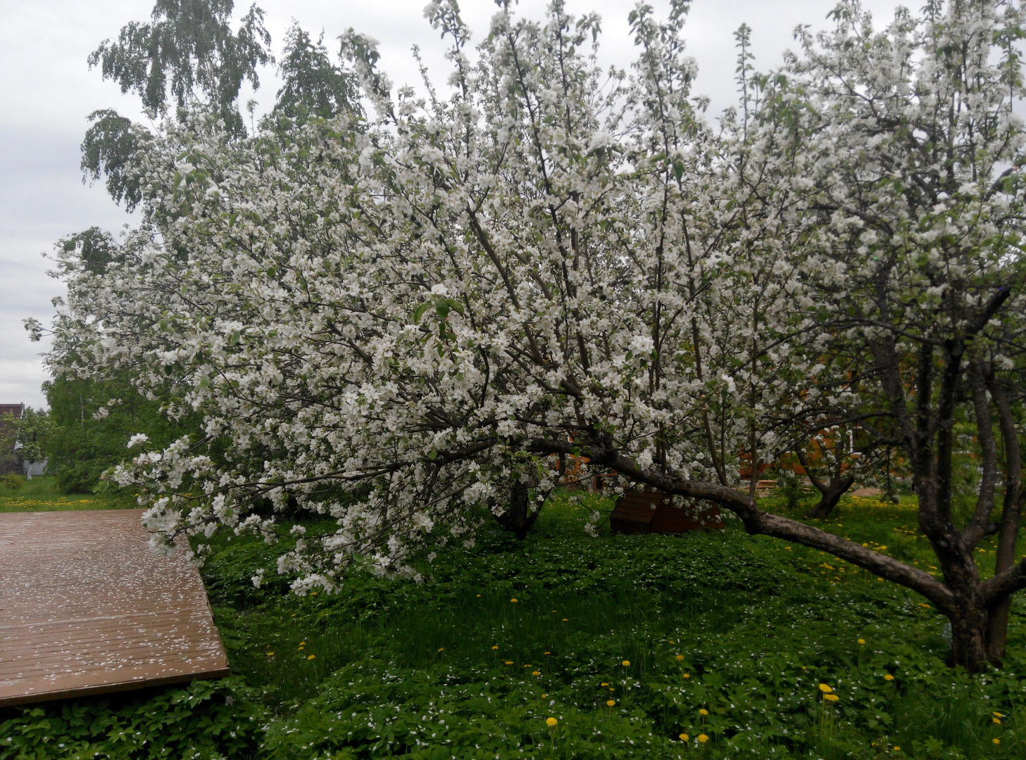Гостевой Дом "На Волге!"