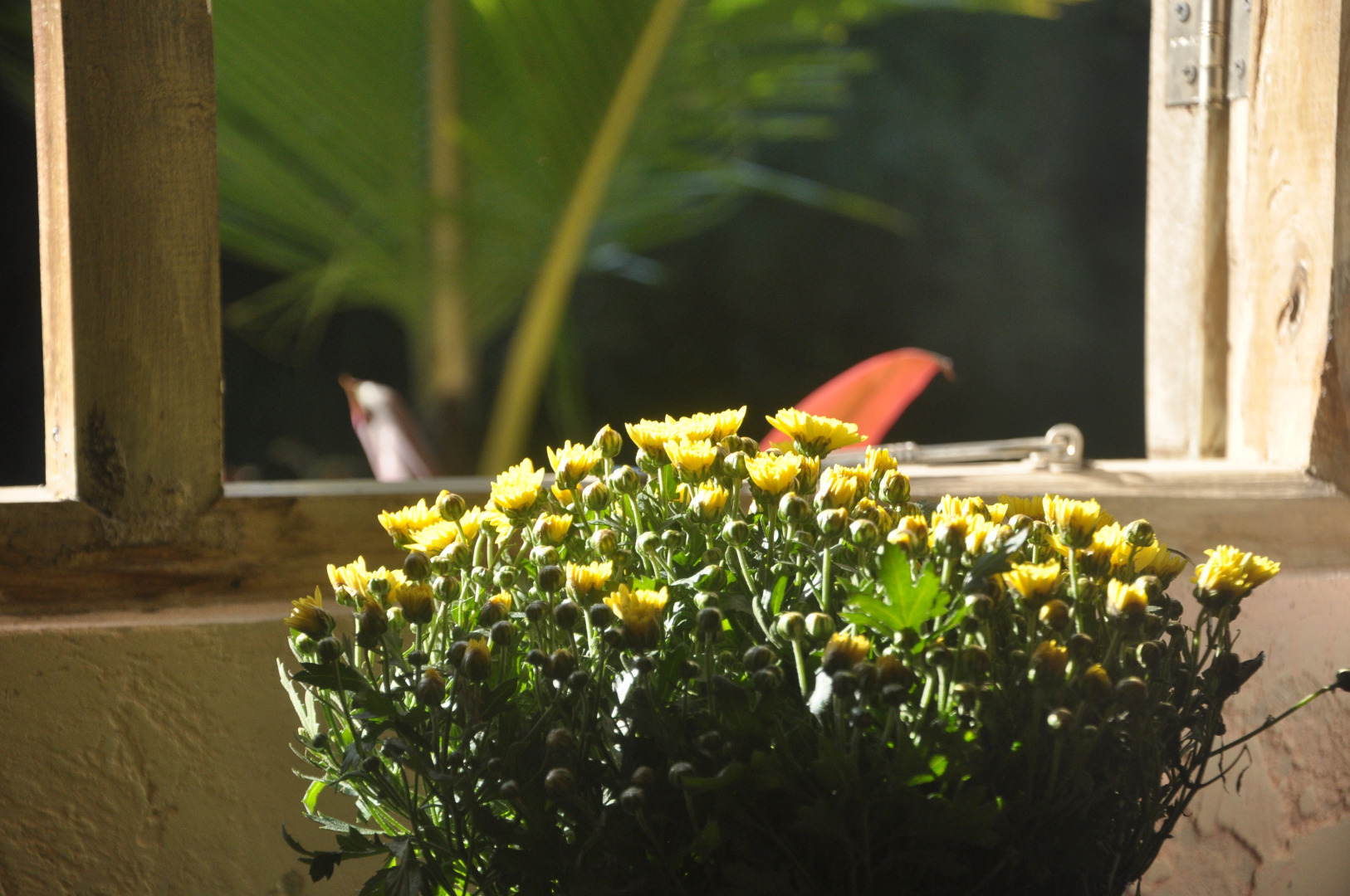 Хостел Tepi Sawah lodge