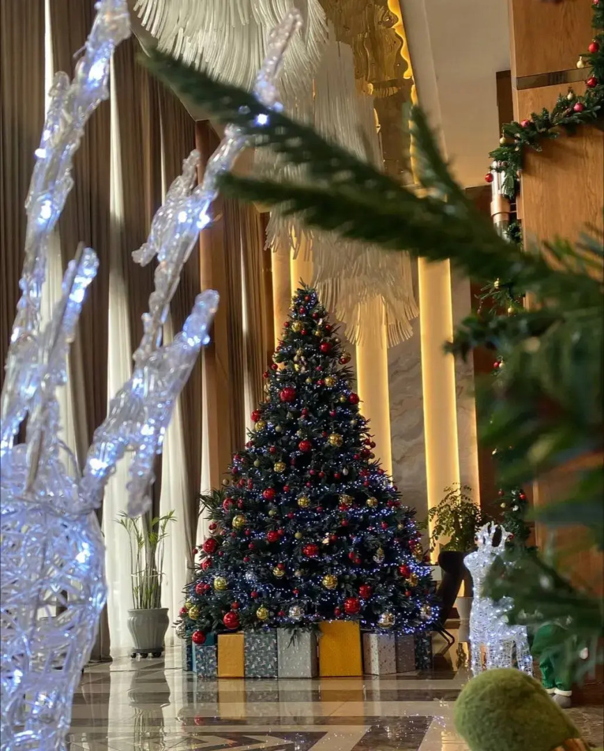 Отель Sofia International