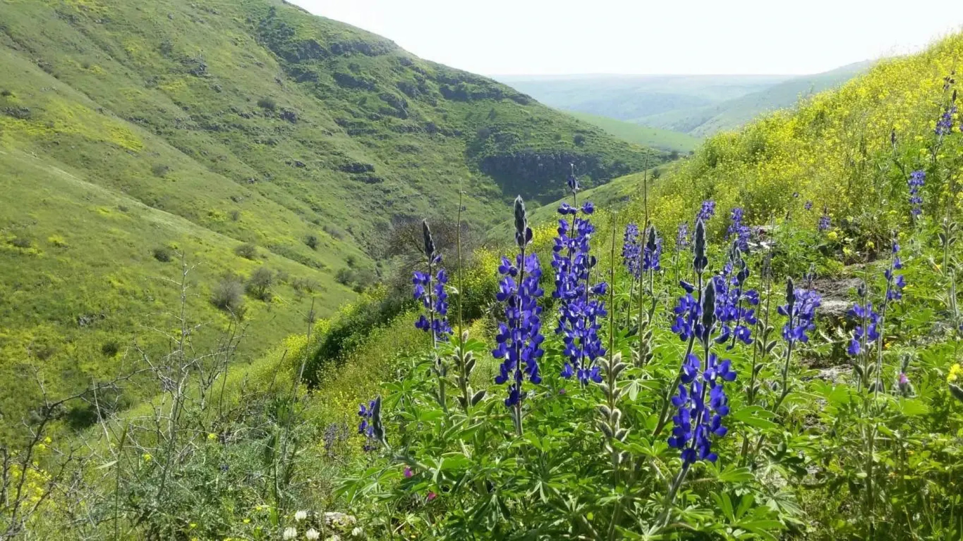 Отель Pearl of the Valley