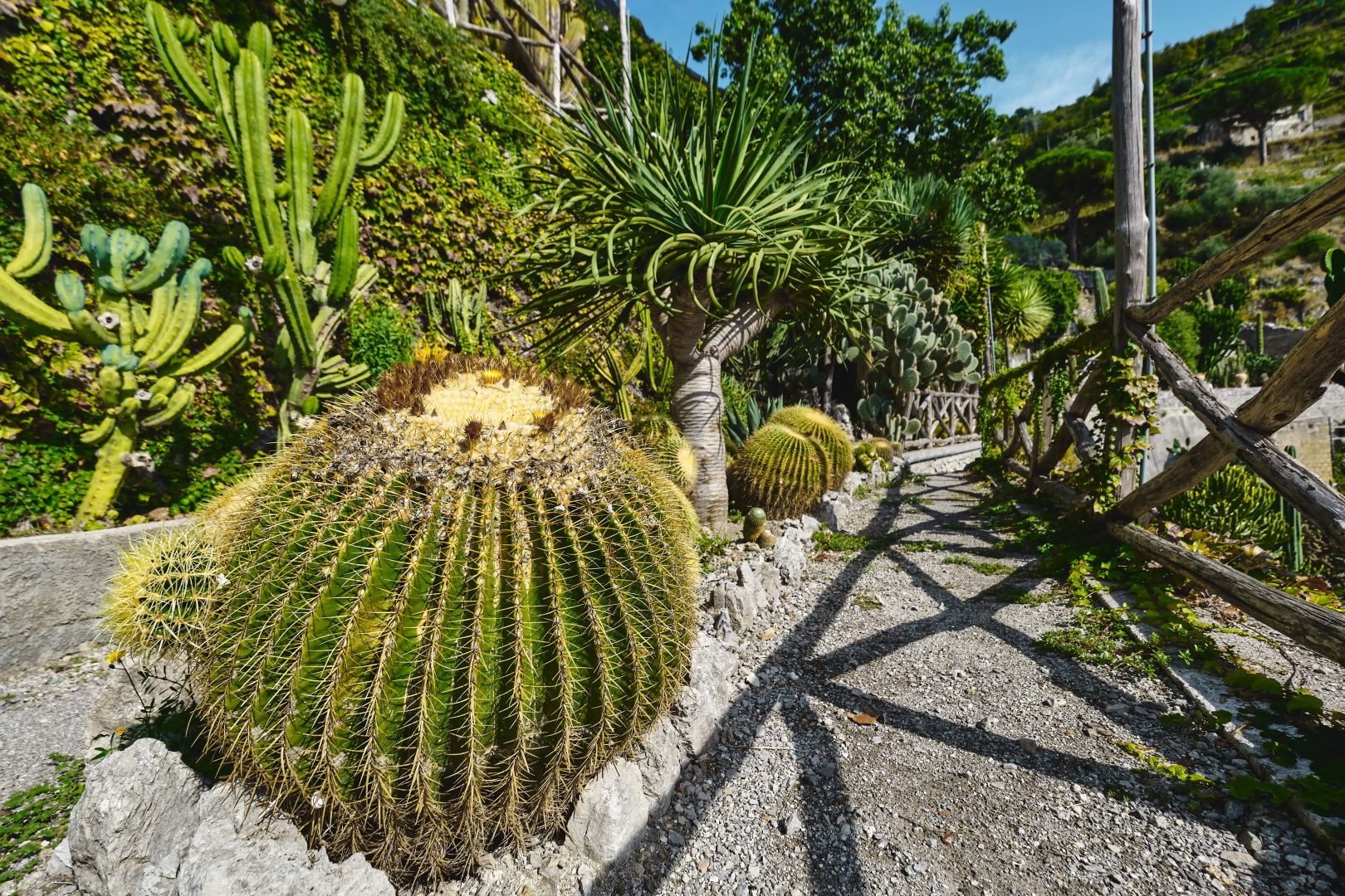 Отель Botanico San Lazzaro