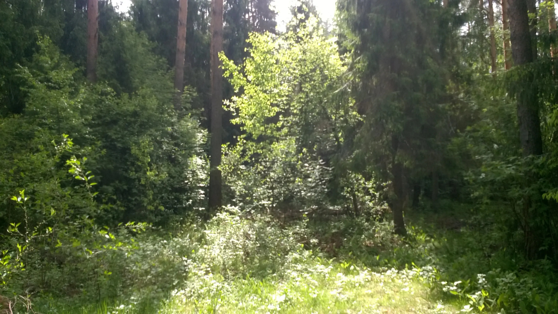 Гостевой дом Агатес