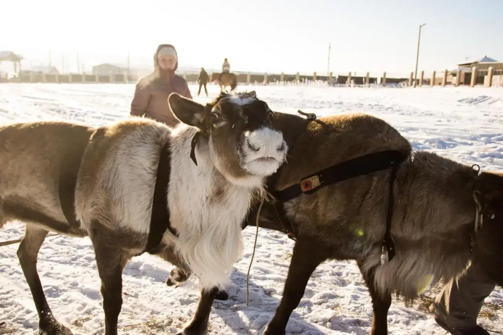 Отель Загородный клуб