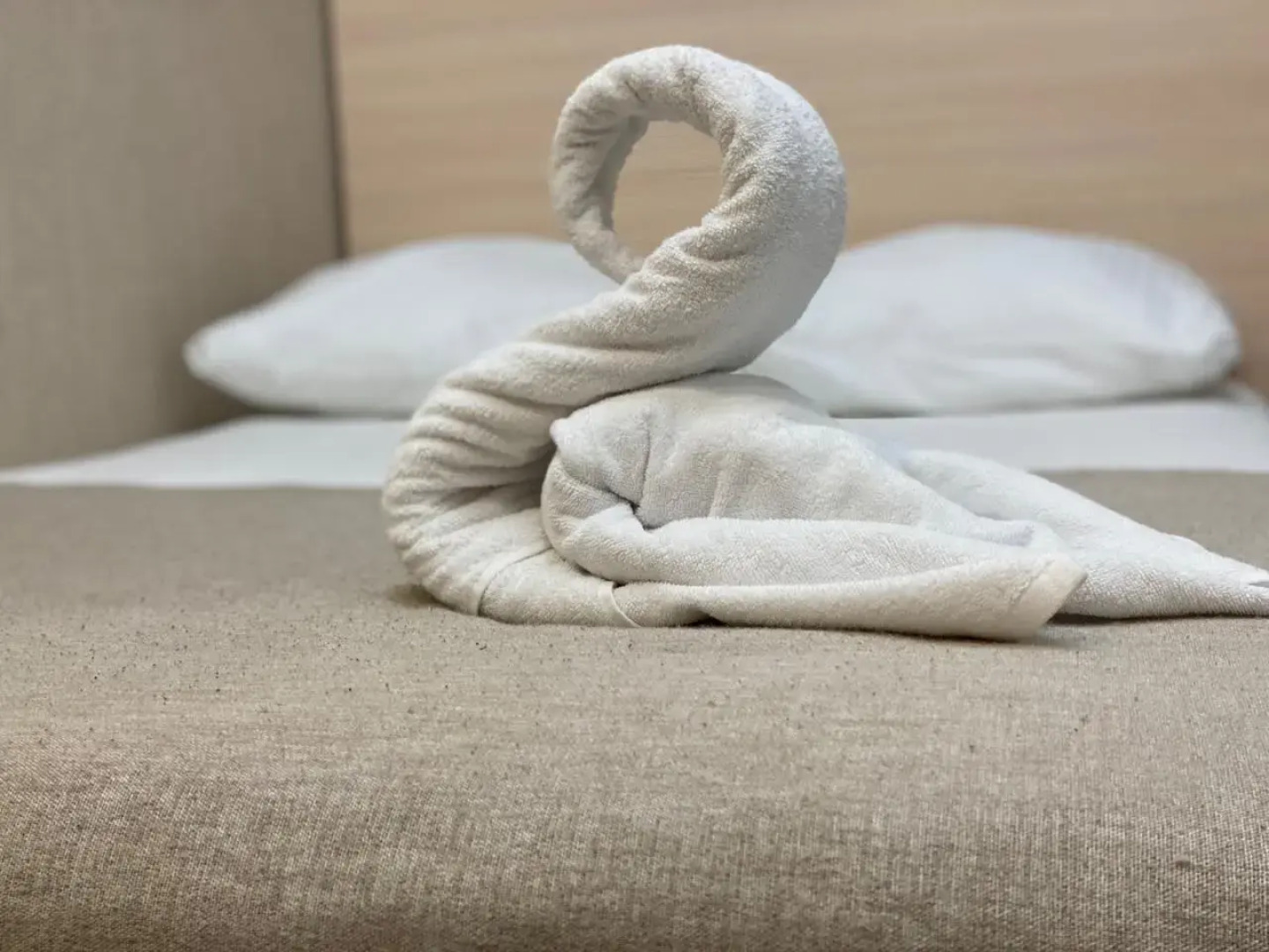 Отель Созвездие Медведицы