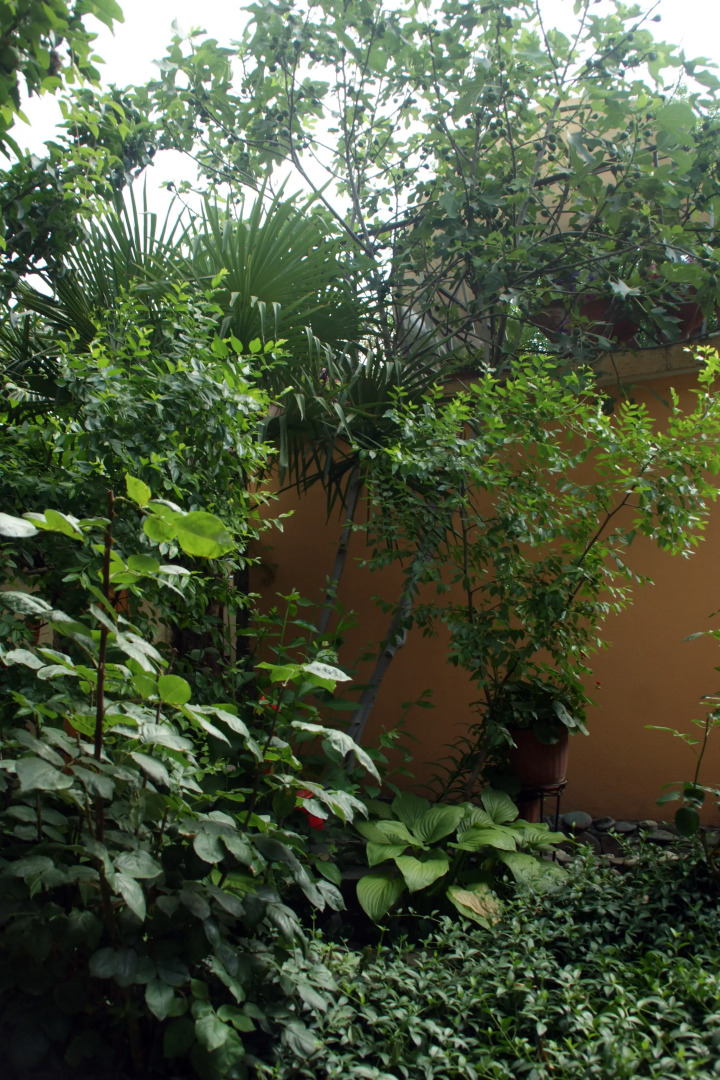 Гостевой Дом Вишневских