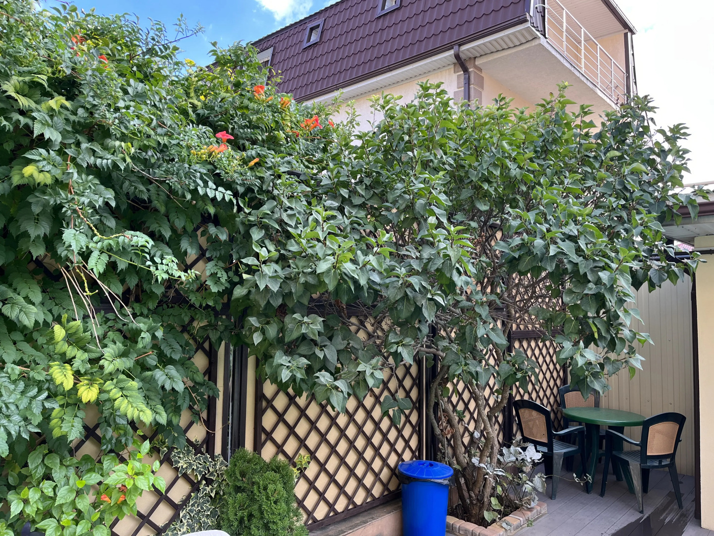 Гостевой Дом Лагуна