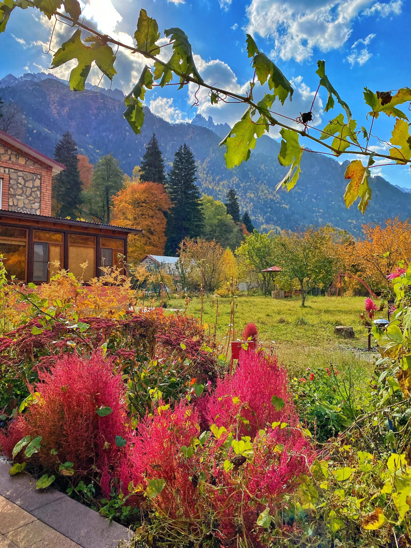 Гостевой дом Golden Sun