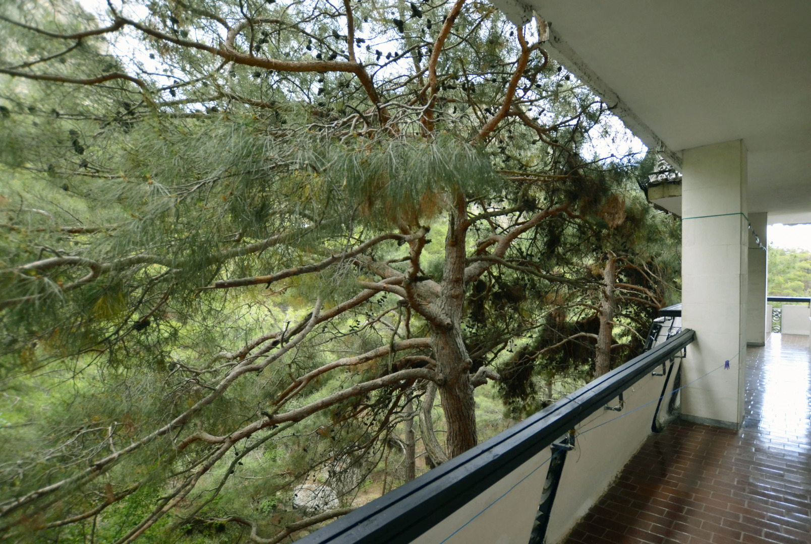 Дом Отдыха Полёт