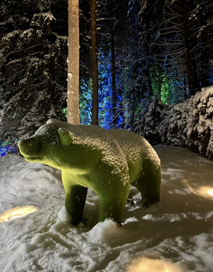 Апартаменты Иvolga с отдельным входом у курорта