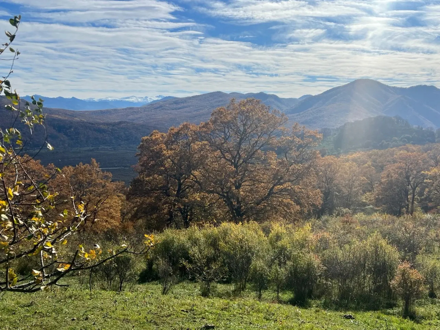 Гостевой дом Ранчо в горах Лаго-Наки