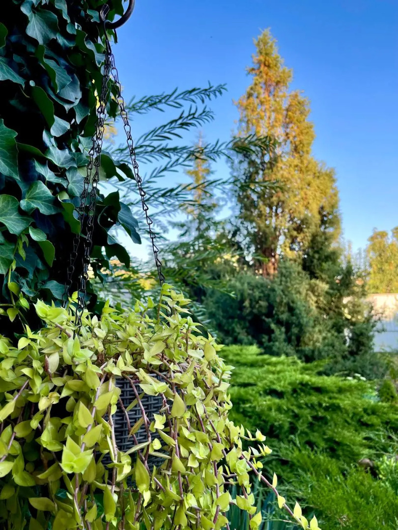 Гостевой дом с садом для двоих