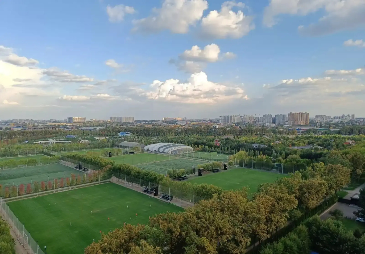 Квартира с Видом на Парк Галицкого