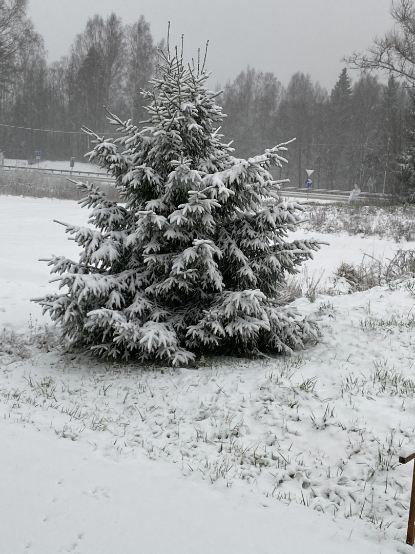 Мини-отель Зайцева гора