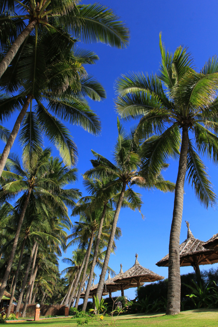 Отель Little Paris Resort & Spa Mui Ne